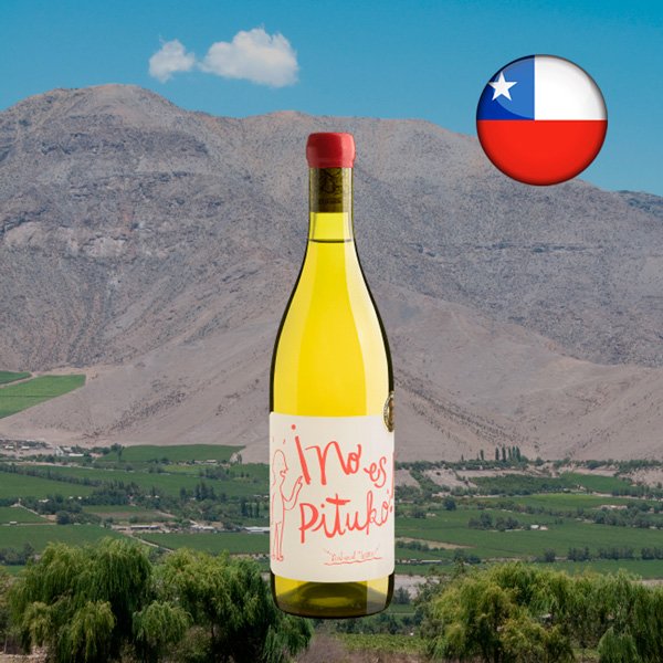 No es Pituko Chardonnay 2022 Vinho Branco Chileno - Vinhos Woozen